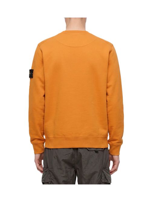 Stone Island Felpa girocollo in cotone biologico con maniche raglan Stone Island | L1S156100060S0051V007E